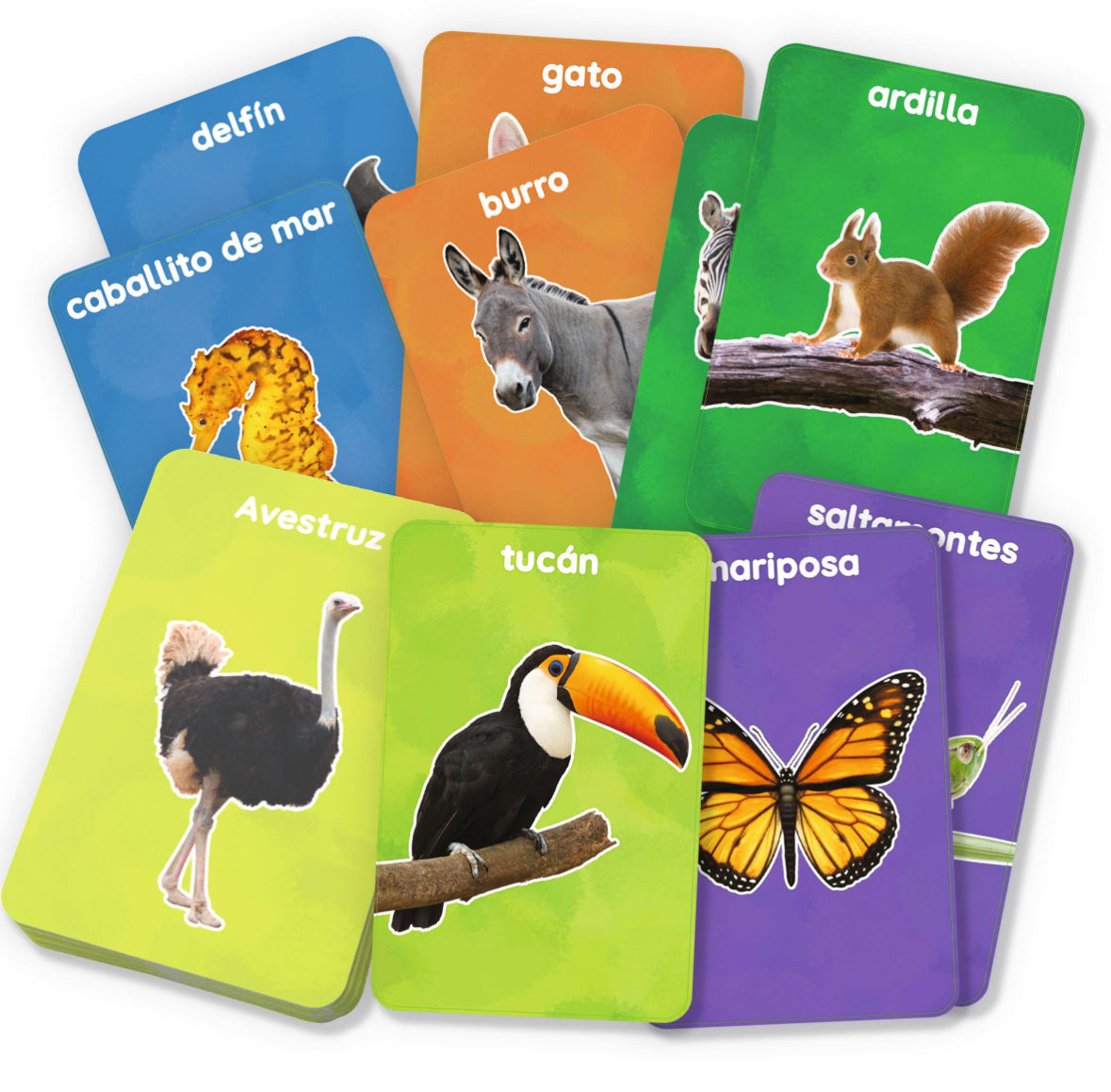 Mis primeros 100 animales