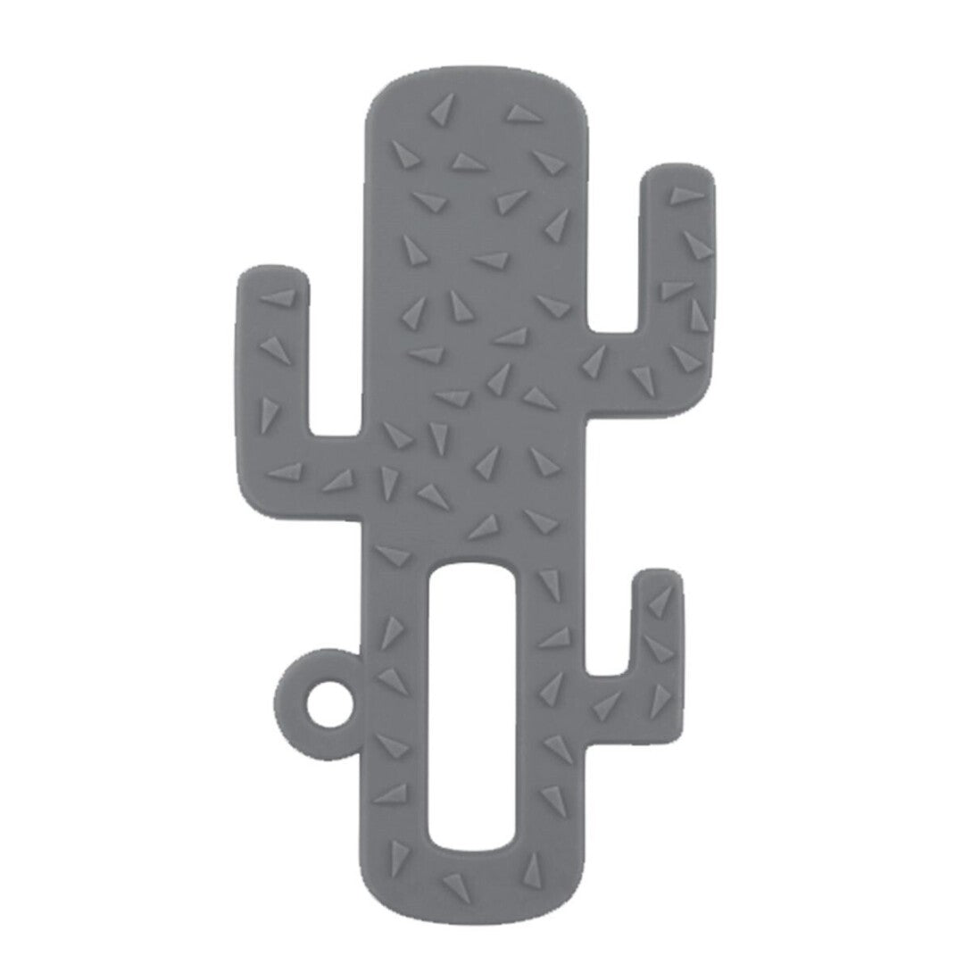 CACTUS MORDEDOR MINIKOIOI