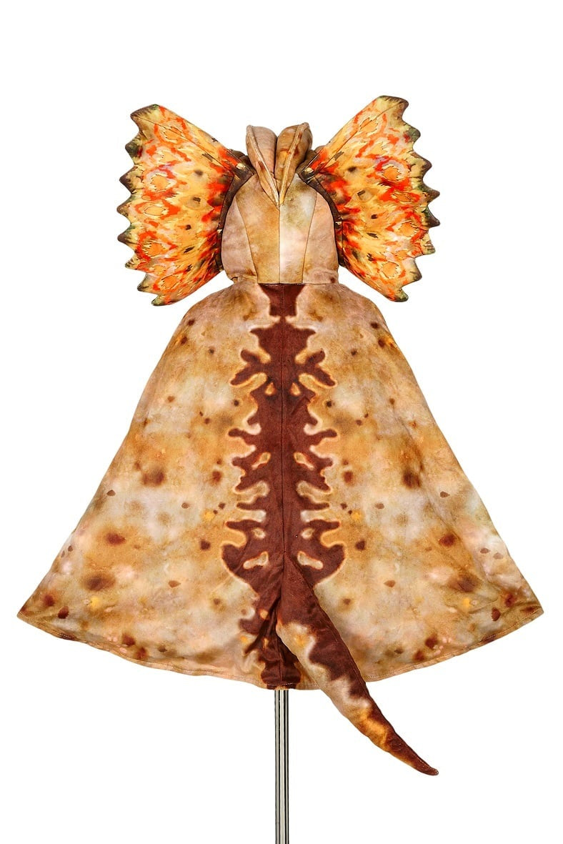 Dilophosaurus cape, 4-7 yrs, 104-122 cm