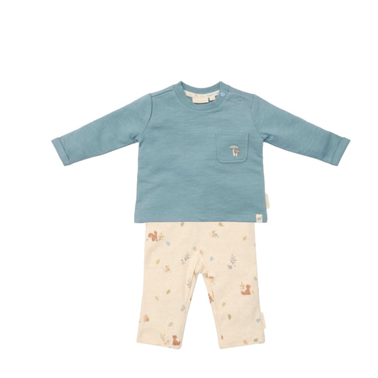 Conjunto Nature-Forest