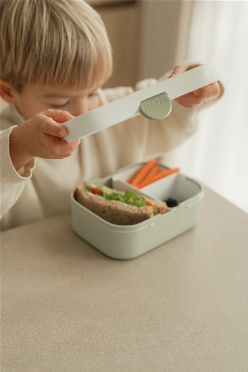 CAJA DE ALMUERZO CAMPUS  -Varias colecciones-